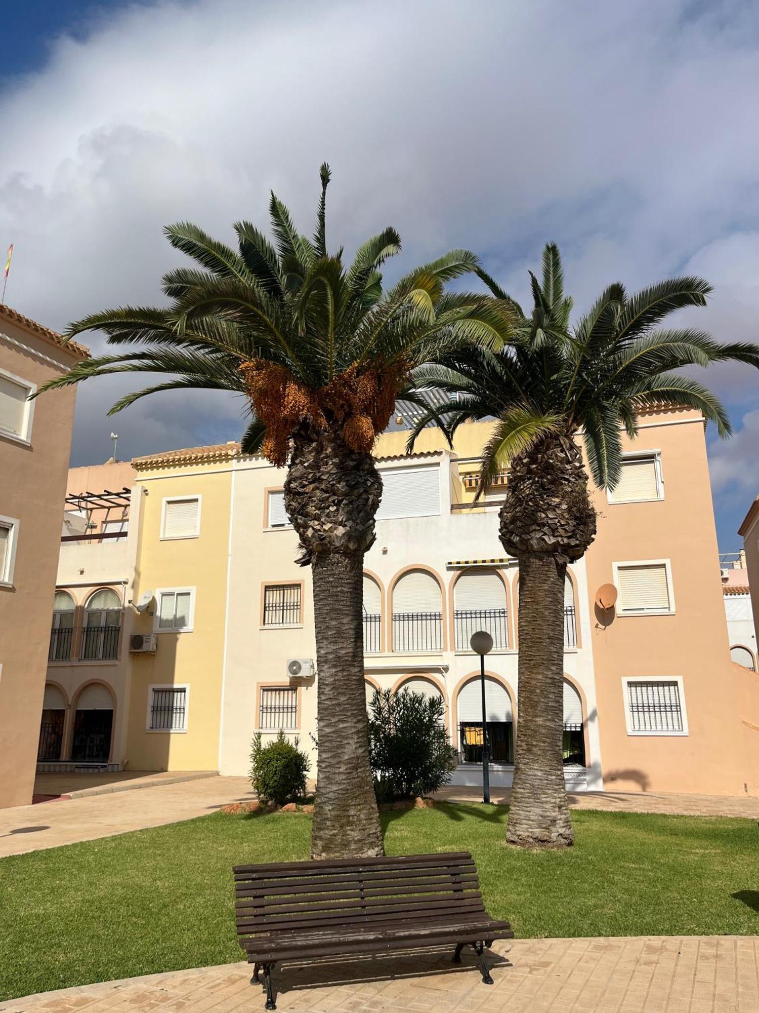 Torrevieja 2 Bedrooms Appartment 外观 照片