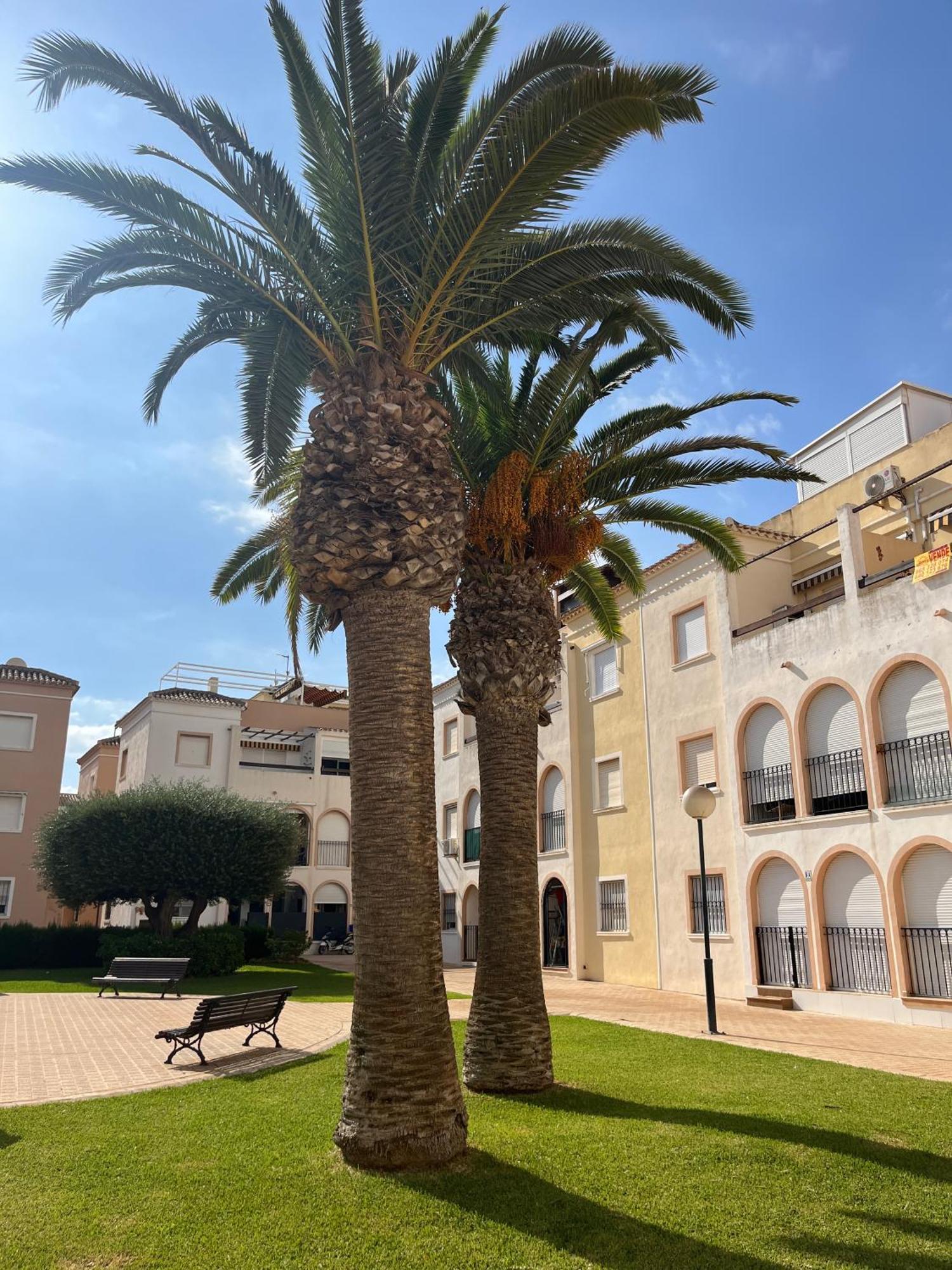 Torrevieja 2 Bedrooms Appartment 外观 照片